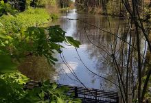 Markeaton Brook景点图片