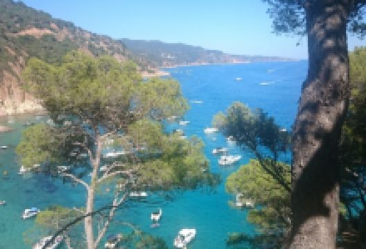 Cala Futadera景点图片