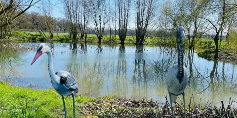 Talland School of Equitation