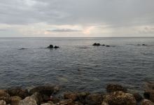 WTC Beach景点图片