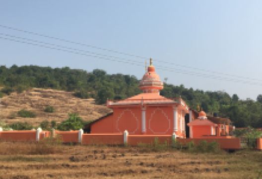 Agonda Ground景点图片