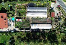 "Fiore Ogrody Karkonoszy" Rodziny Wiącek mgr inż. Katarzyna Gronek购物图片