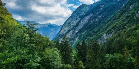 Alpine Botanical Garden Juliana