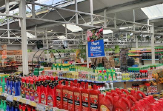 Thompson's Garden Centre - Chislehurst购物图片
