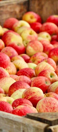 苹果山-埃尔多拉多县