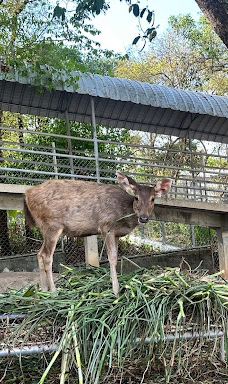 Seal and Penguin Park-宋卡