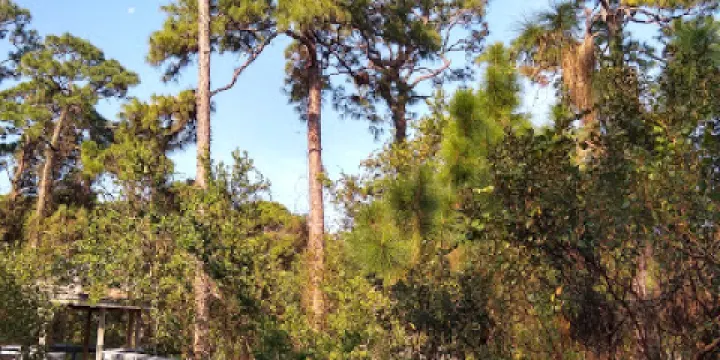 Tall Cypress Natural Area