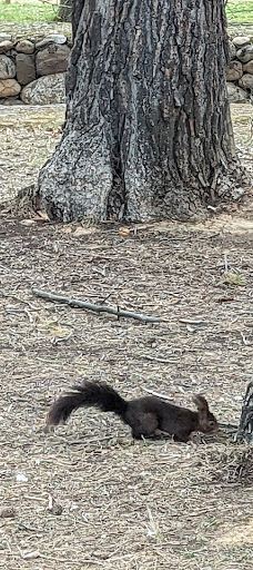 Grajera Park-洛格罗尼奥