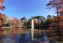 retiro Park景点图片