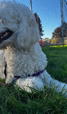 Forest Glen Park-森特勒尔波因特