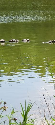 Grace Street Park-格林伍德