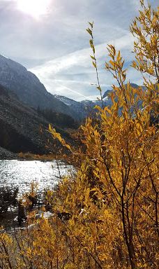 Lundy Lake-莫诺县