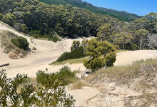 Henty Dunes景点图片