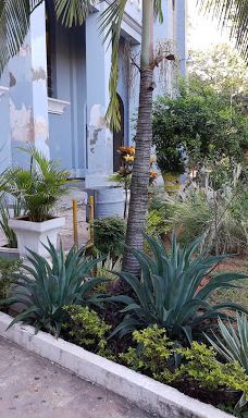 Cathedral of San Lorenzo City-Barrio San Rafael