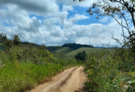 Corrida de carro de mão景点图片