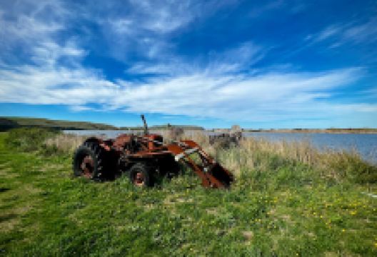 Freedom Camping Site景点图片