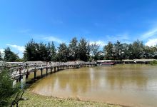 Pantai Tiram景点图片