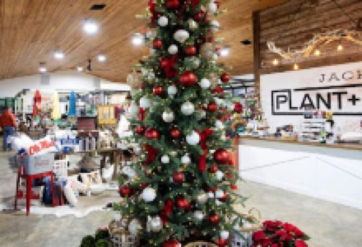 Jack's Plant and Patio购物图片