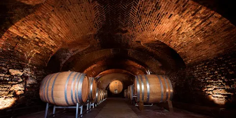 Cantina Dacapo - Ca ed Balos