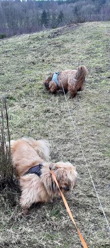 Svanninge Bakker-福堡