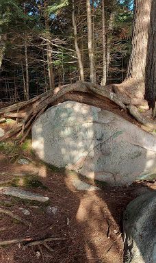 Mikisew Provincial Park-Machar