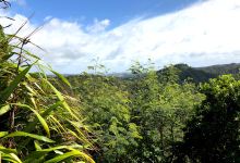 Whenuakite Kiwi Zone Viewpoint景点图片