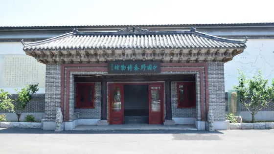 中國野蠶博物館