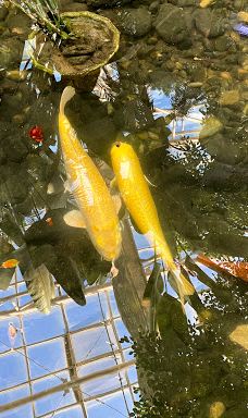 Asan Ecological Environment Insect Museum-牙山市