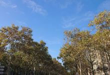 Zone humide des Piles景点图片