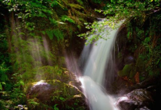 Talyllyn Railway - Dolgoch Railway Station景点图片