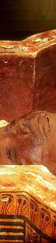 木乃伊博物馆-卢克索