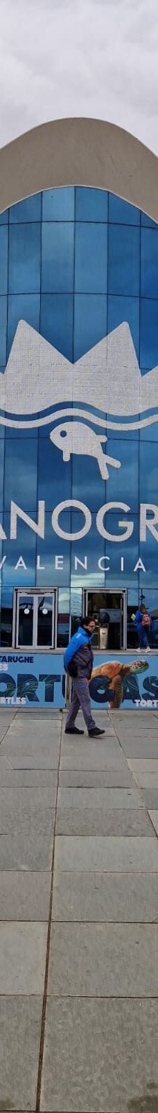 瓦伦西亚海洋公园-瓦伦西亚