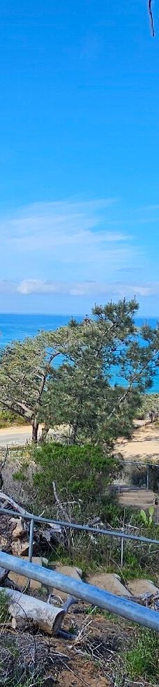 多利松国家自然保护区-佐拉