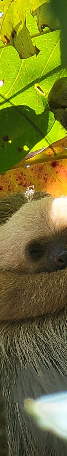 卡维塔国家公园-Talamanca