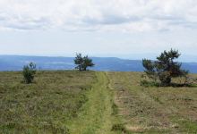 Livradois-Forez Regional Nature Park景点图片