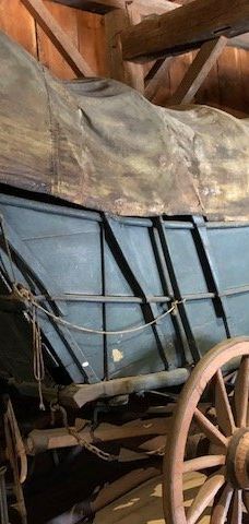 谢尔本博物馆-谢尔本