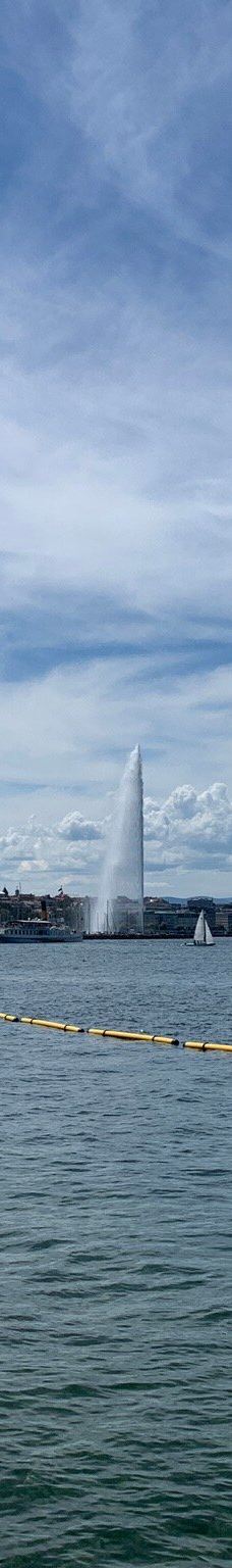 宝贝沙滩-日内瓦