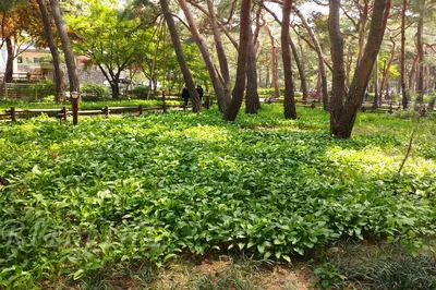 Solbat Neighborhood Park