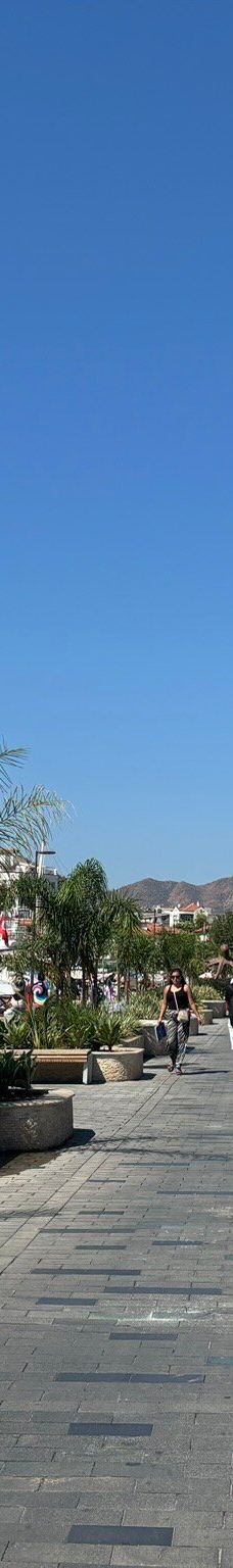 马尔马里斯-马米勒斯