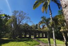 ZOO Martinique HOUSING LATOUCHE景点图片