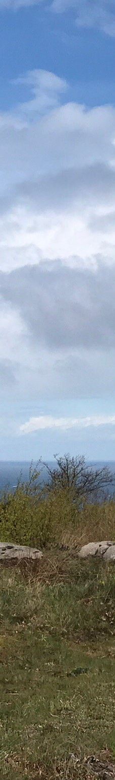 Hammer Lighthouse (Hammer Fyr)-阿灵厄