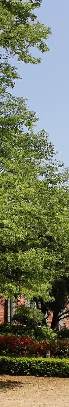 Gongseri Catholic Church-牙山市