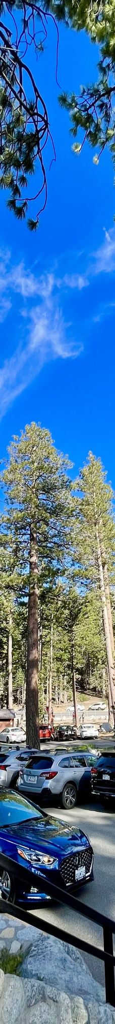 Mt. Tallac Trail-埃尔多拉多县