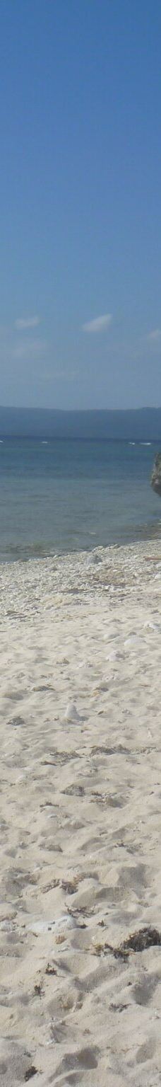 中本海岸-竹富町