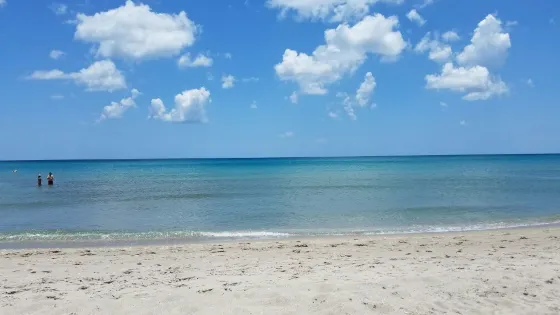 Jupiter Dog Beach