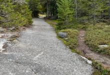 Great Pond Mountain Conservation Trust景点图片