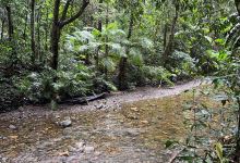 Marrdja Botanical Walk景点图片