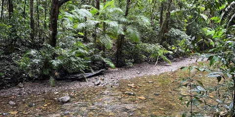 Marrdja Botanical Walk