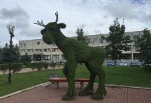 Elk Kiryusha Monument景点图片