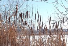 Quincy Reservoir景点图片